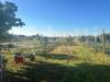 Terreno Agricolo in vendita a Terracina - 06, ac37588c-7d1d-41ea-a368-d74a5e3c529e.jpg