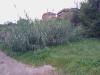 Terreno Edificabile in vendita a Albano Laziale in tor paluzzi - 05, Foto 5