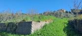 Terreno Agricolo in vendita a Castel Gandolfo in via del laghetto 1 - 05, Foto 5