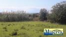 Terreno Edificabile in vendita a Anzio in via di colle cocchino - 06, Foto 6