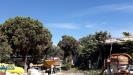 Terreno Edificabile in vendita a Anzio in via di colle cocchino - 05, Foto 5