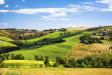 Terreno Agricolo in vendita a Fermo - 06, Foto 6