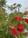 Appartamento in vendita con giardino a Porto Sant'Elpidio - 10, Foto 10