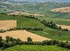 Terreno Agricolo in vendita a Monte San Pietrangeli - 02, Foto 2