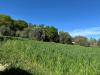 Terreno Agricolo in vendita a Fermo - 05, Foto 5