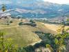 Terreno Agricolo in vendita a Carassai - 04, Foto 4