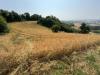 Rustico in vendita a Ponzano di Fermo - 05, Foto 5