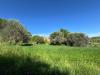 Terreno Agricolo in vendita a Fermo - 04, Foto 4