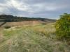 Terreno Agricolo in vendita a Altidona - 06, Foto 6