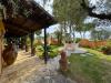 Villa in vendita con giardino a Fermo in contrada parete - 04, Foto 4