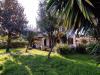Villa in vendita con giardino a Anzio - 04, FOTO 2.jpg