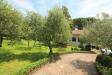 Villa in vendita con giardino a Montecatini-Terme - nievole - 03