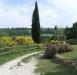 Rustico in vendita con giardino a Montaione - 06