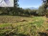 Terreno Edificabile in vendita a Montesilvano - 04, Foto 4