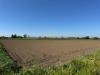 Terreno Agricolo in vendita a Marcianise - 03, Foto 3