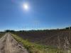 Terreno Agricolo in vendita a Marcianise - 04, Foto 4