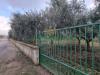 Terreno Agricolo in affitto a Maddaloni - 03, Foto 3