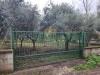 Terreno Agricolo in affitto a Maddaloni - 08, Foto 8