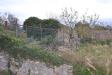 Terreno Agricolo in vendita a Toirano in via xxiii novembre - 02, Foto 2