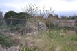 Terreno Agricolo in vendita a Toirano in via xxiii novembre - 03, Foto 3