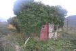 Terreno Agricolo in vendita a Toirano in via xxiii novembre - 04, Foto 4