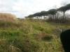 Terreno Agricolo in vendita a Giugliano in Campania in viale dei pini nord - 06, Foto 6