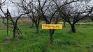 Terreno Agricolo in vendita a Quarto in quarto - via lenza lunga - 02, Foto 4