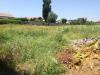 Terreno Agricolo in vendita a Quarto in via giordano bruno - 02, Foto 12