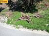 Terreno Agricolo in vendita a Napoli - 03, Foto 3