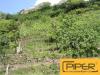 Terreno Agricolo in vendita a Napoli - 04, Foto 4