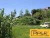 Terreno Agricolo in vendita a Napoli - 04, Foto 4