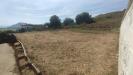 Terreno Agricolo in vendita a Bacoli in via wolfgang amadeus mozart - 06, Foto 6