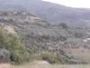 Terreno Agricolo in vendita a Serramonacesca in contrada san gennaro - 05, Foto 5