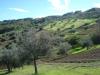 Casa indipendente in vendita da ristrutturare a Roccamontepiano in contrada molino - 06, Foto 6