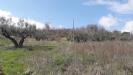 Terreno Agricolo in vendita a Bucchianico in contrada colle spaccato - 06, Foto 6