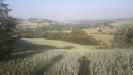 Terreno Agricolo in vendita a Alanno in via colle rotondo - 05, Foto 5