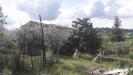Terreno Edificabile in vendita a Manoppello in contrada carpelle - 04, Foto 4