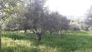 Terreno Edificabile in vendita a Manoppello in contrada foce - 09, Foto 9