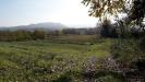 Terreno Agricolo in vendita a Cepagatti in via piemonte - 03, Foto 3