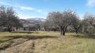 Terreno Agricolo in vendita a Alanno in via s.antonio - 06, Foto 6
