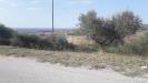 Terreno Agricolo in vendita a Manoppello in via don rocco d'alessandro - 05, Foto 5