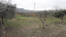 Terreno Agricolo in vendita a Alanno in via san cassiano - 04, Foto 4