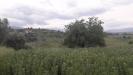 Terreno Agricolo in vendita a Bucchianico in via delle more - 02, Foto 2