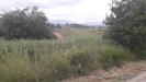 Terreno Agricolo in vendita a Bucchianico in via delle more - 04, Foto 4