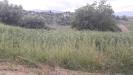 Terreno Agricolo in vendita a Bucchianico in via delle more - 05, Foto 5