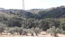 Terreno Agricolo in vendita a Turrivalignani in contrada cugnoli - 02, Foto 2