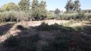 Terreno Edificabile in vendita a Manoppello in via g.d'annunzio - 04, Foto 4