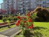 Appartamento in vendita con box a Milano in via ottone rosai 10 - 04, Foto 4