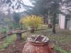 Stabile/Palazzo in vendita con giardino a Buti - 05