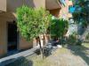 Appartamento bilocale in affitto a Roma in viale cortina d'ampezzo 269 - 08, Foto 8